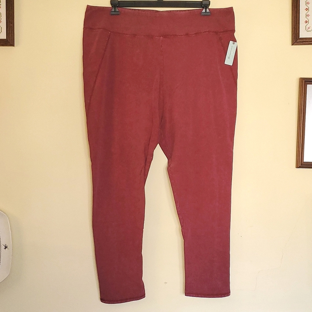 Anthropologie saturday sunday Leggings Size 3X NWT